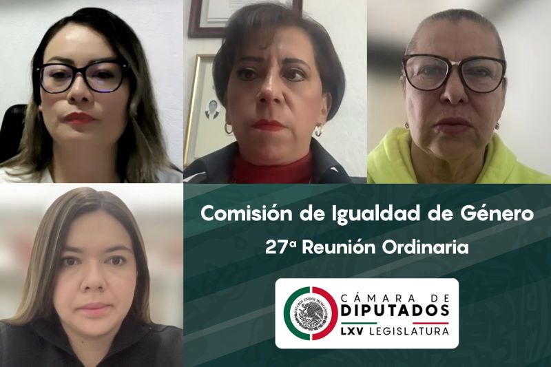 Comisi N De Igualdad De G Nero Aprueba Dictamen Para Fortalecer Acceso