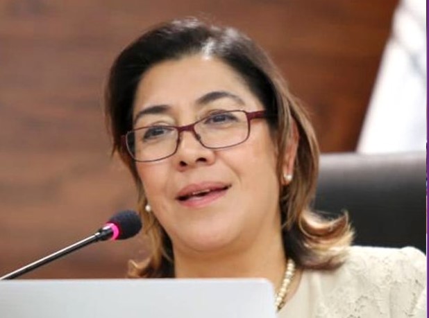 Comisionada Josefina Román.