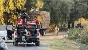 Asesinado Celaya