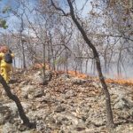 Persiste el incendio en la sierra de Santa Rosa