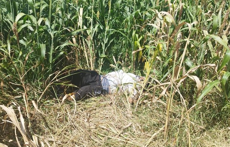 Motociclista asesinado a balazos en la carretera Cerano-Ozumbilla