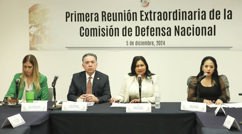 Comisión Defensa Nacional