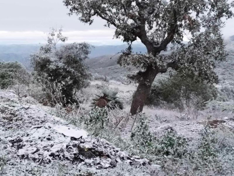 Nevada noreste de Guanajuato