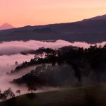 Deforestación y cambio climático amenazan bosques de niebla