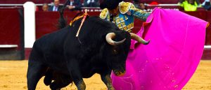 Corrida de toros 1