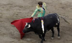 Corrida de toros