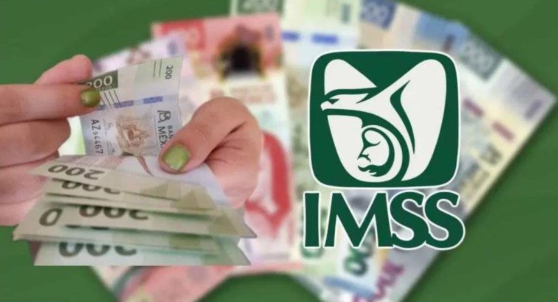 Multas IMSS