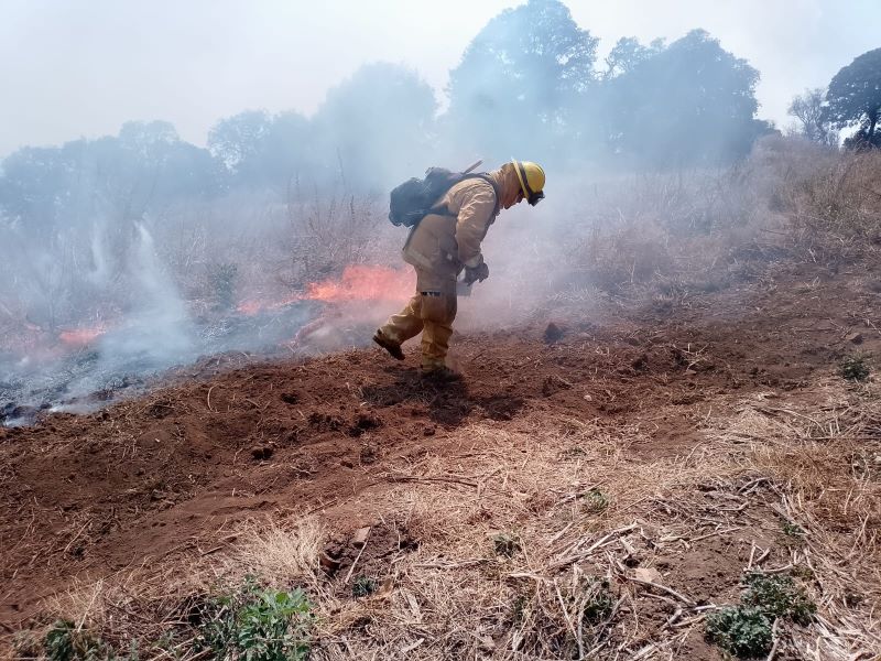 Incendio en sierra de Amoles