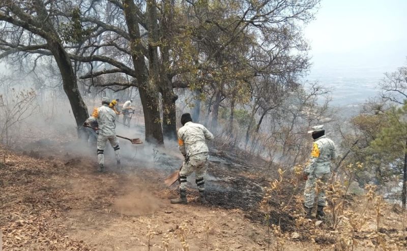 Incendio forestal en Sierra de Puruagua