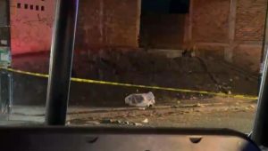 Asesinada a balazos