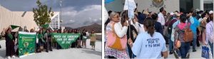 Colectivos