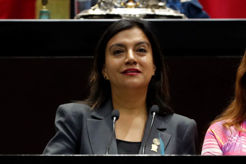 Diputada Alma Rosa de la Vega