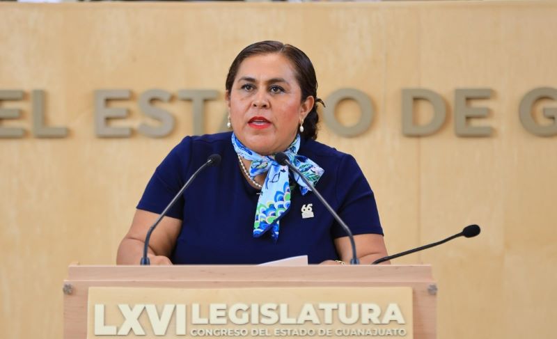 Diputada Yesenia Rojas Cervantes