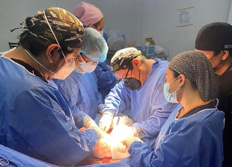Donación de órganos