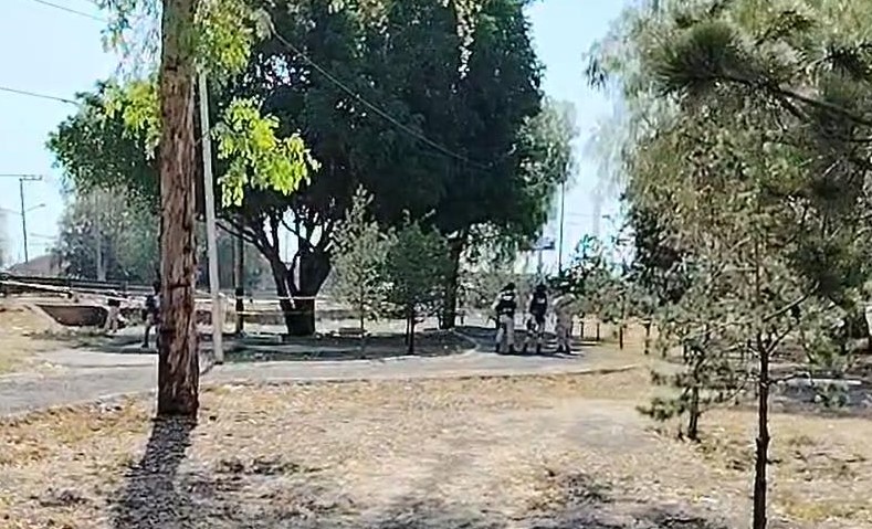 Ejecutado Palo Seco