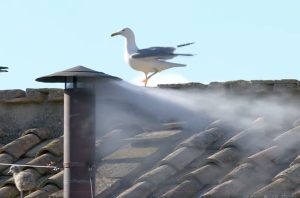 Humo blanco