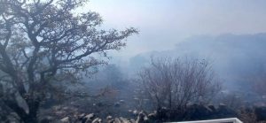 Incendio en El Culiacán