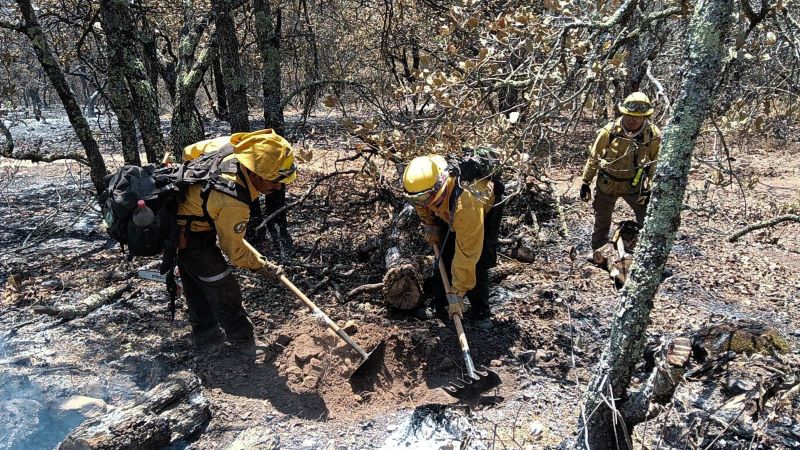 Incendio en el cerro El Cuervo