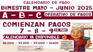 Pago de pensiones mayo-junio