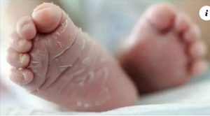 Abandonada recién nacida