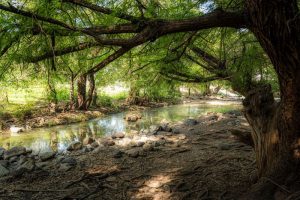 Área natural protegida