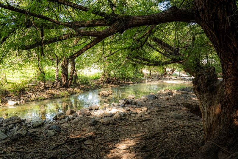 Área natural protegida