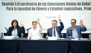 Comisión igualdad de género