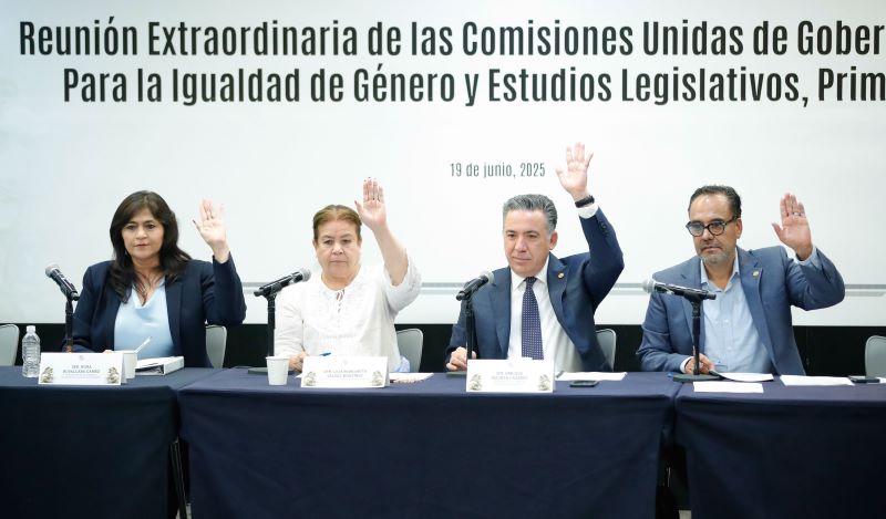 Comisión igualdad de género
