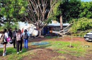 Destrozos Uni de Cortazar