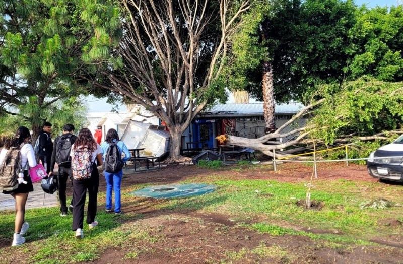 Destrozos Uni de Cortazar