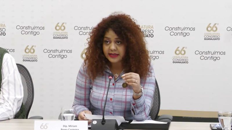 Diputada Miriam Reyes Carmona