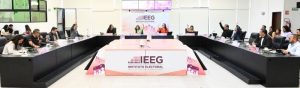 IEEG 30VI25