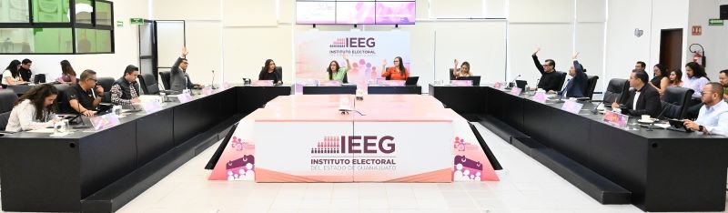 IEEG 30VI25