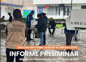 Informe OEA elecciones PJF