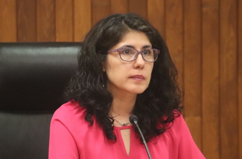 Yari Zapata López, Presidenta del TEEG