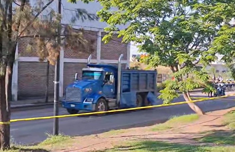 Atropellados y muertos en León