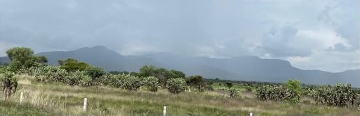 Campo lluvia