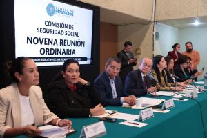 Comisión de seguridad social
