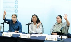 Comisiones unidas de gobernación y derehcos humanos Senado de la República