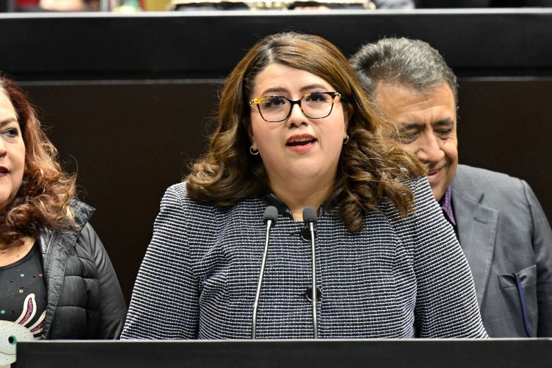 Diputada Delhi Miroslava Shember Domínguez.