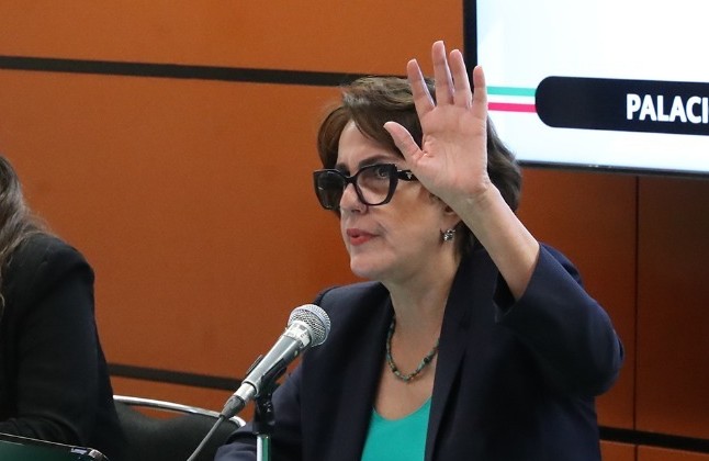 Diputada Patricia Mercado Castro.