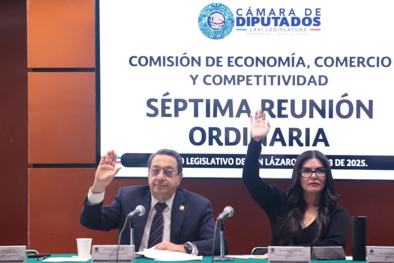 Diputado Miguel Ángel Salim Alle