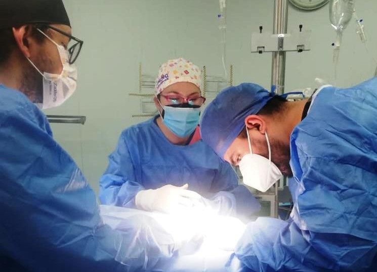 Donación de órganos