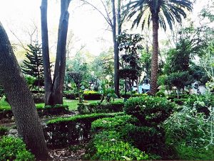 Jardin CDMX