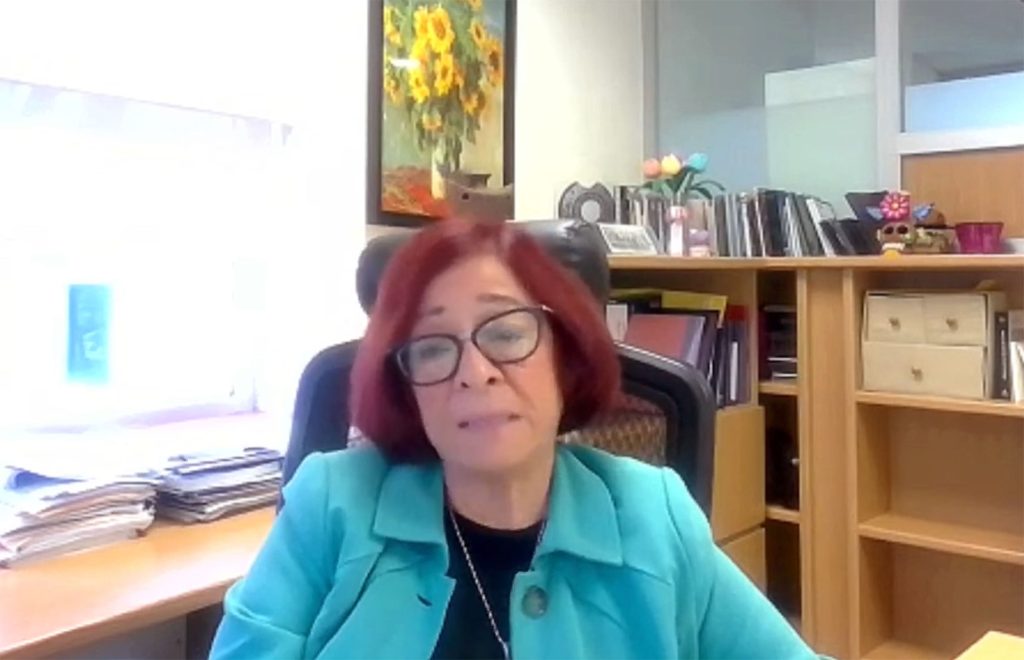 Julia del Carmen Chávez Carapia, profesora de la Escuela Nacional de Trabajo Social.