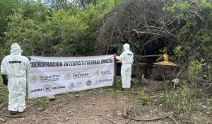 Laboratorio de drogas Culiacán