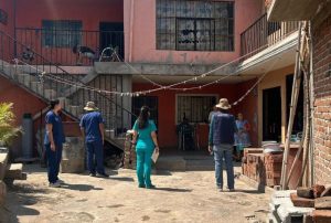 Operativo dengue en León