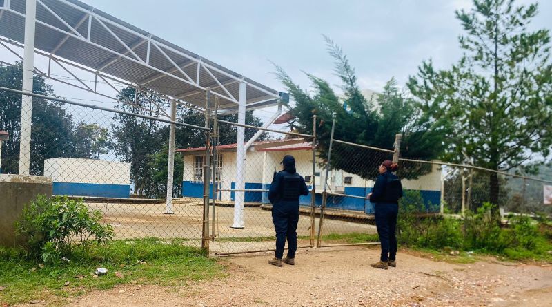 Rondines en escuelas