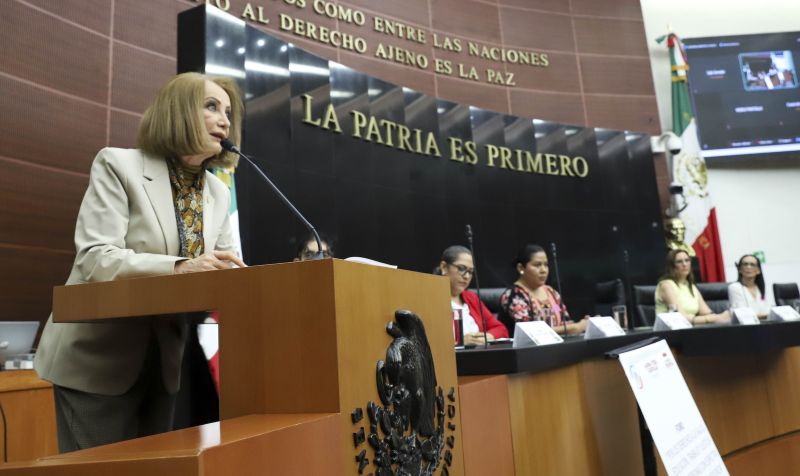 Senadora Laura Itzel Castillo Juárez.