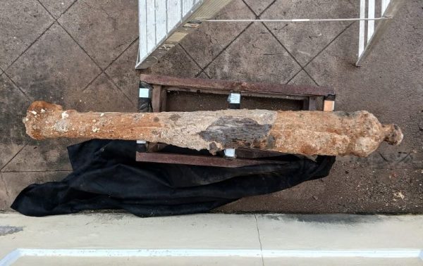 Ambos artefactos estarían asociados con dos momentos clave en la historia del puerto la Guerra de los Pasteles o la Intervención Norteamericana. Foto Judith Hernández.